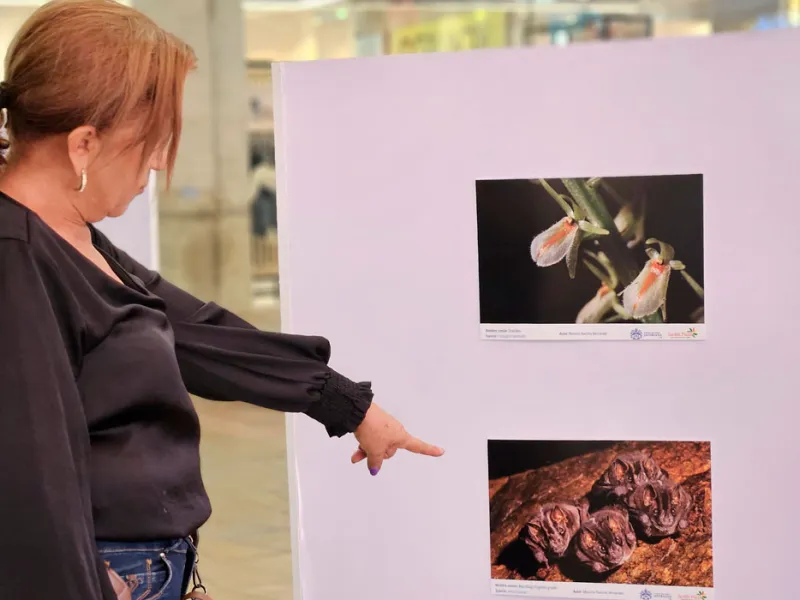 Muralismo y fotografía, una oda a la biodiversidad de la Javeriana Cali que engalana los pasillos del Centro Comercial Jardín Plaza 